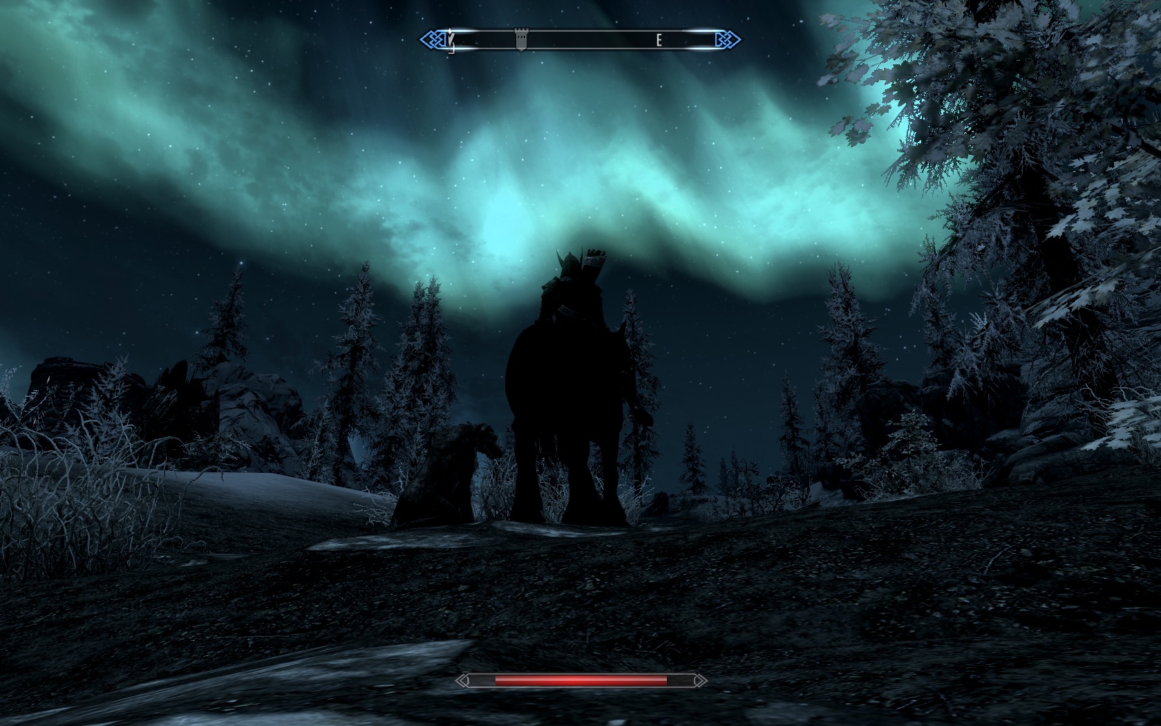 Mon canasson, l'aurore boréale, et moi...